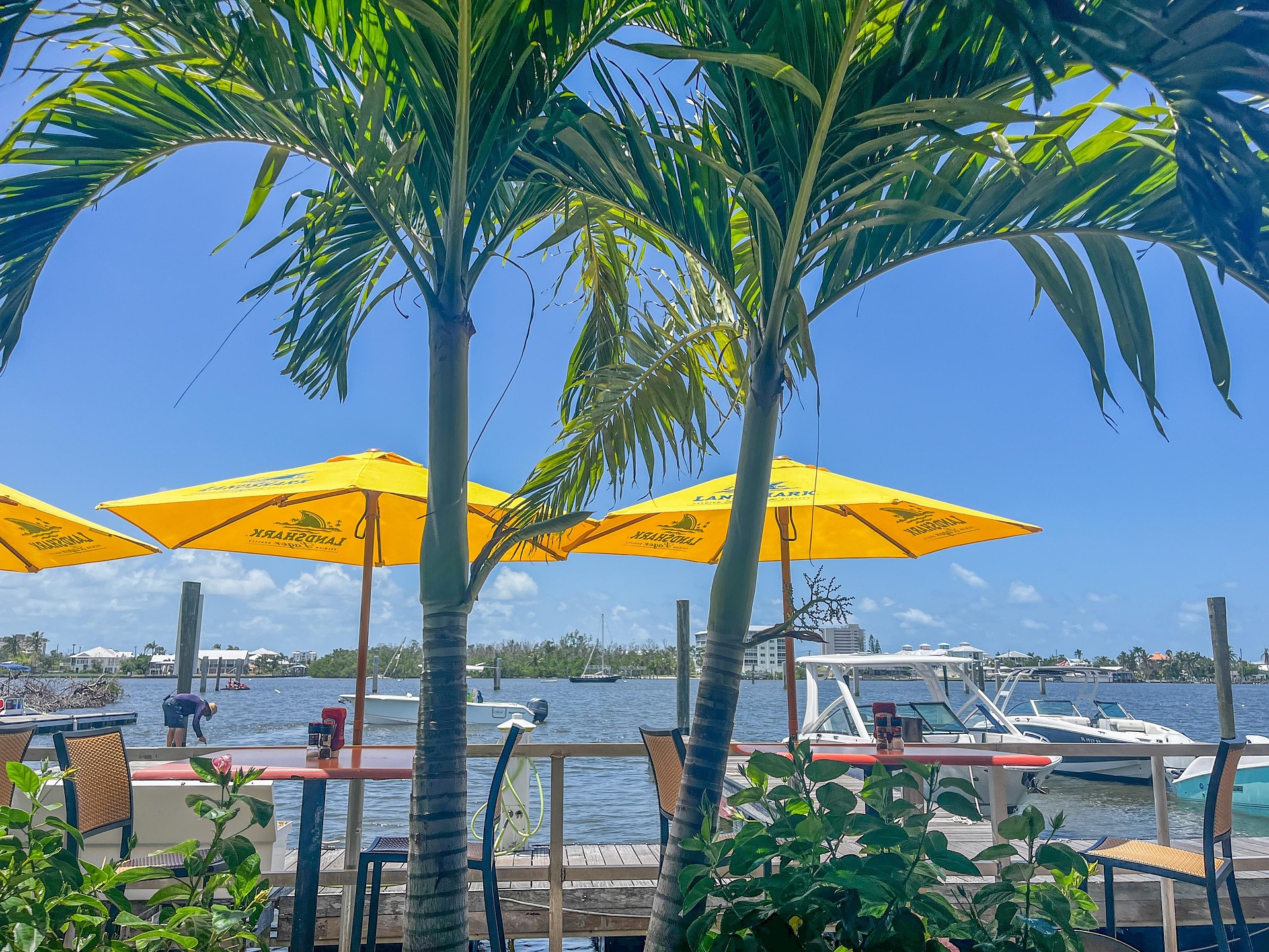 미국 해변 사진