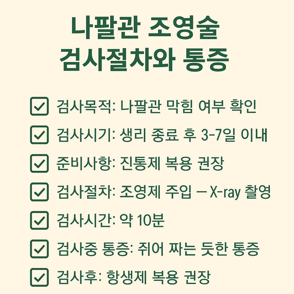 나팔관 조영술 검사 절차와 통증 인포그래픽