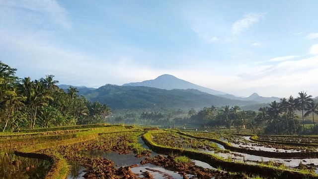 인도네시아-전통