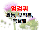 엉겅퀴 관련 포스팅 바로가기 이미지 06