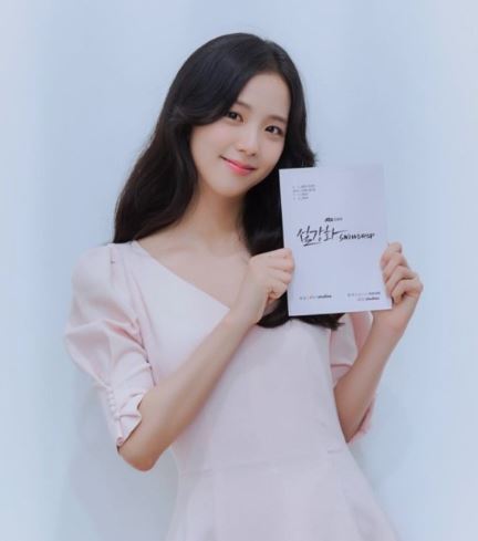 지수 설강화