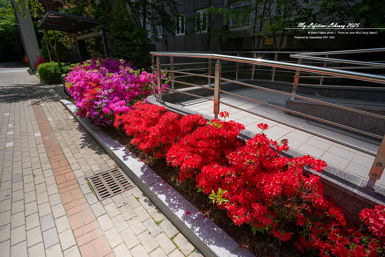 #아파트 #정원 #오창 #오창대성베르힐