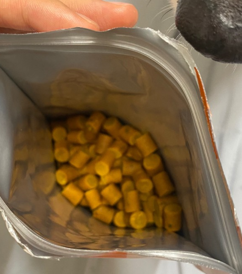 강아지 눈이 침침? 시력 테스트 5가지 및 저하 신호