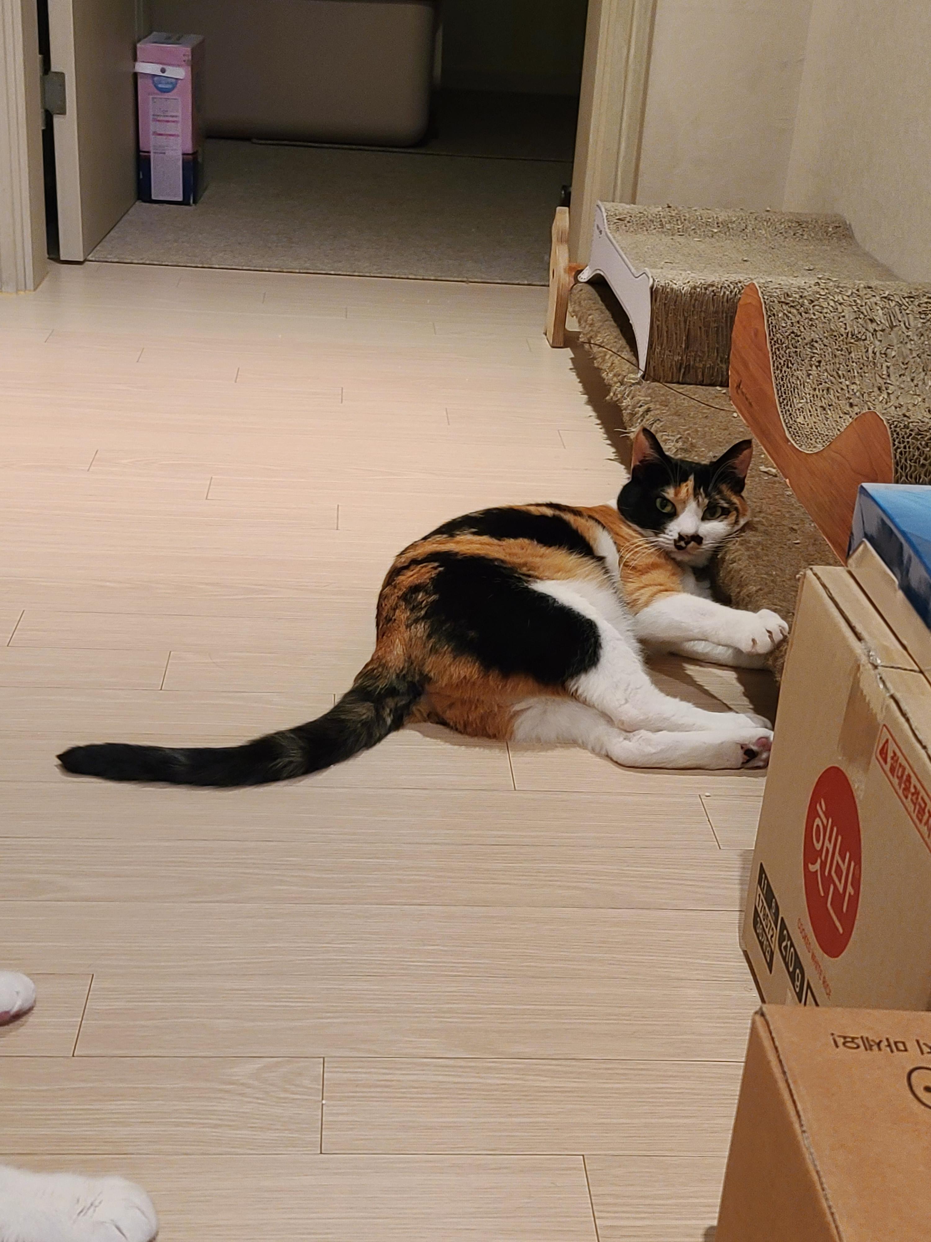 까칠함 뒤의 다양한 다다 모습들.