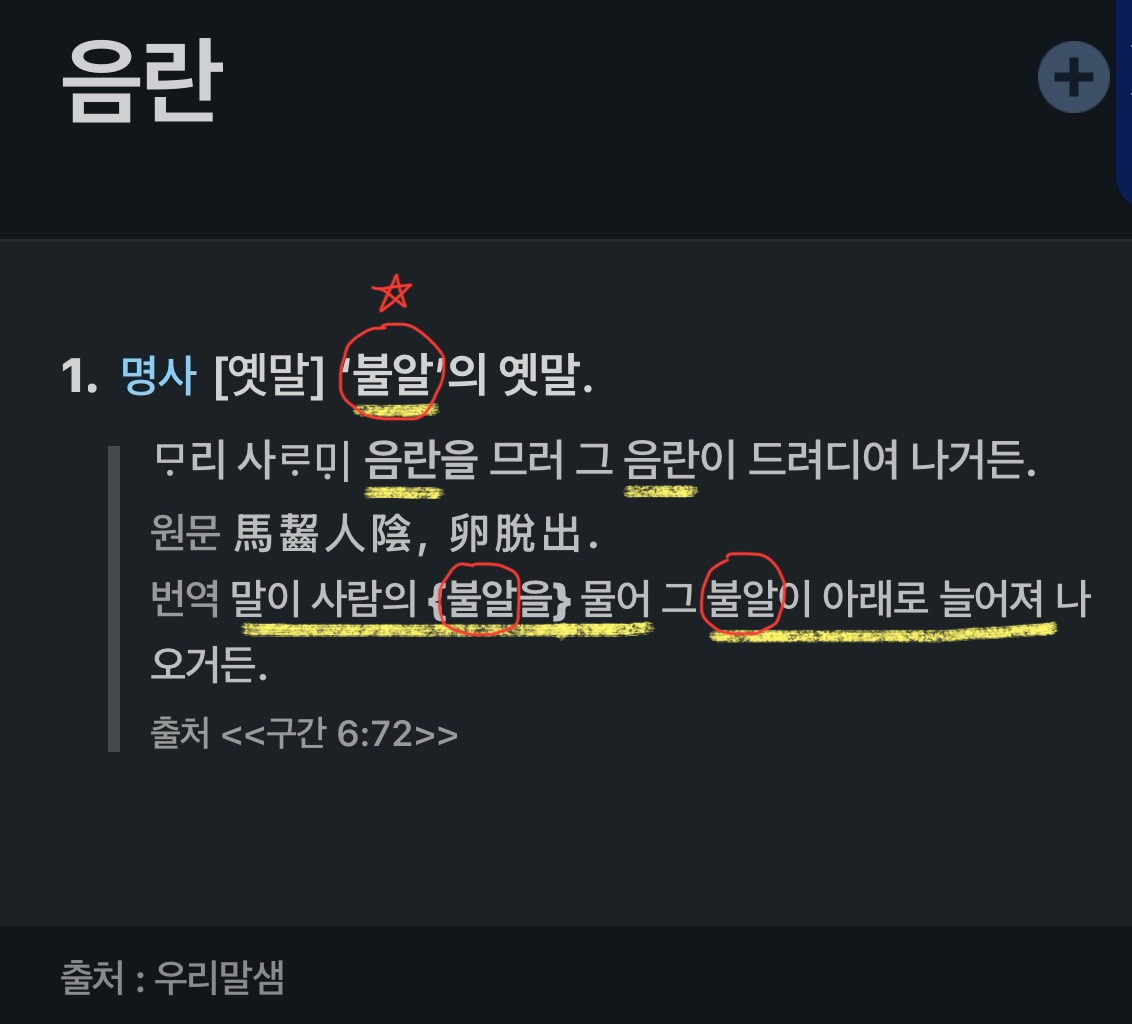 '음란' 의 옛말이 나오는 국어사전 캡쳐 부분.