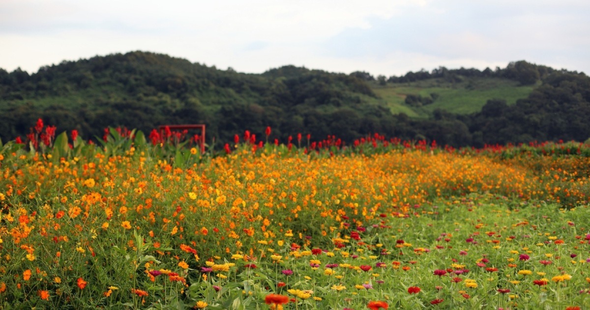 연천 가볼만한곳