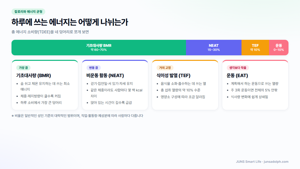 하루 총 에너지 소비량 TDEE를 이루는 네 조각 비중 도식
