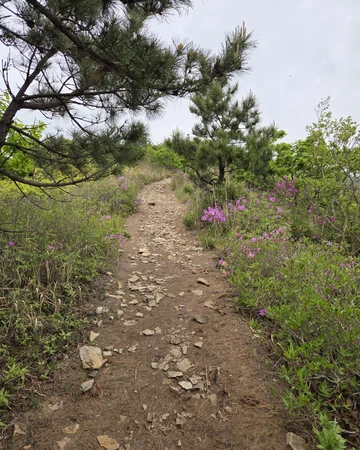 천관산 철쭉 능선 산책로2