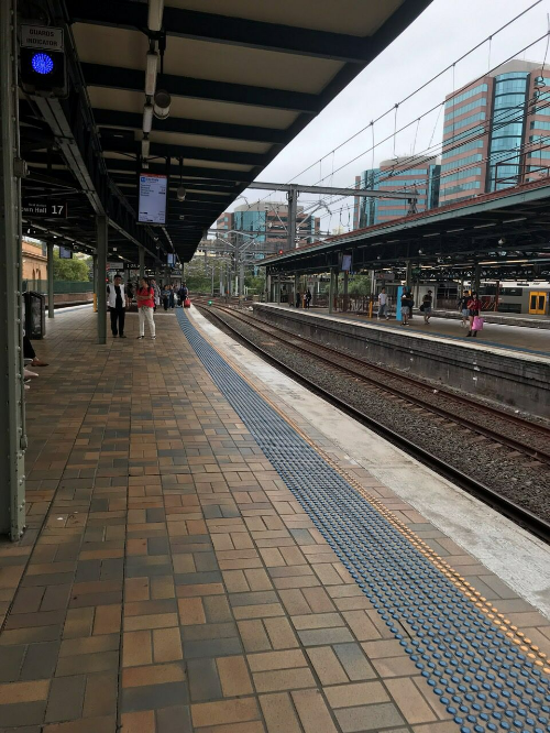 시드니에서 더보까지 기차·비행기·버스 교통 정보