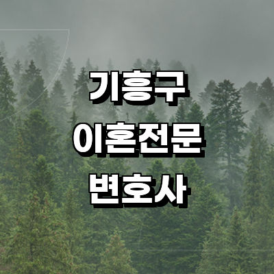 용인 기흥구 이혼 변호사