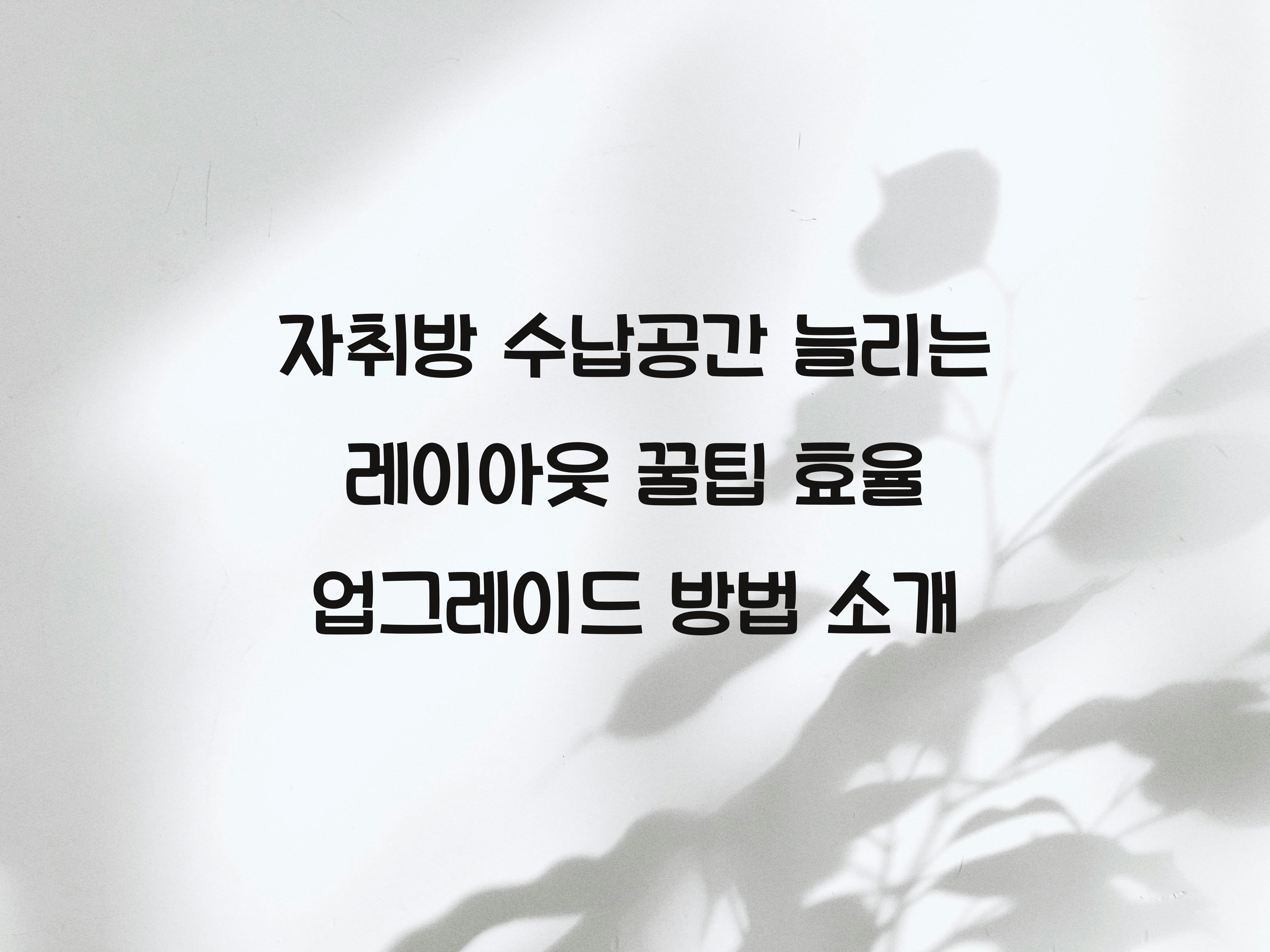 자취방 수납공간 늘리는 레이아웃 꿀팁