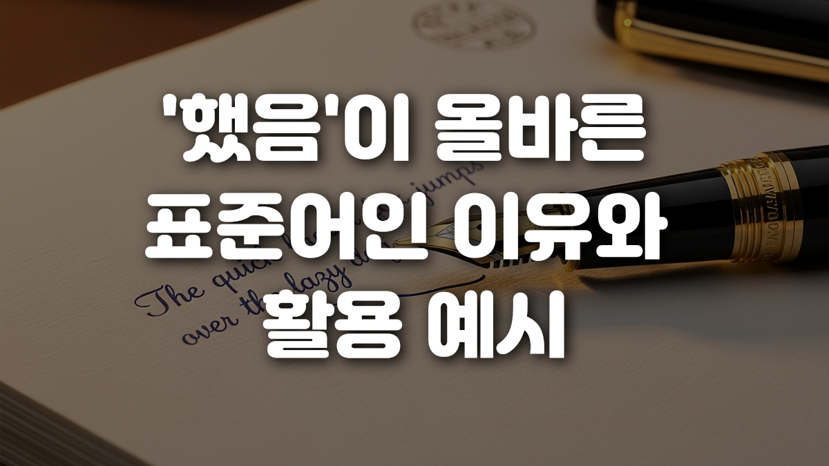 했음 이 올바른 표준어인 이유와 활용 예시