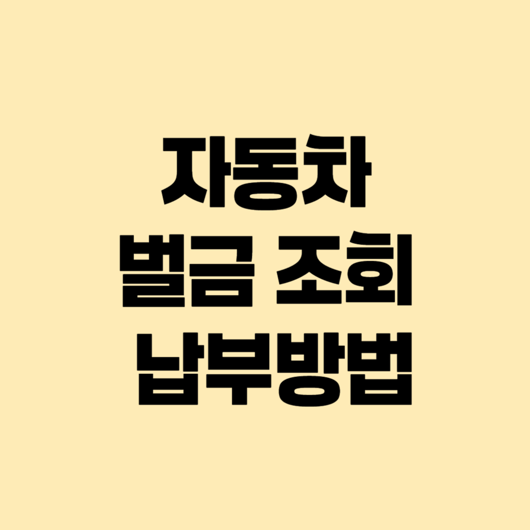 자동차 벌금 조회