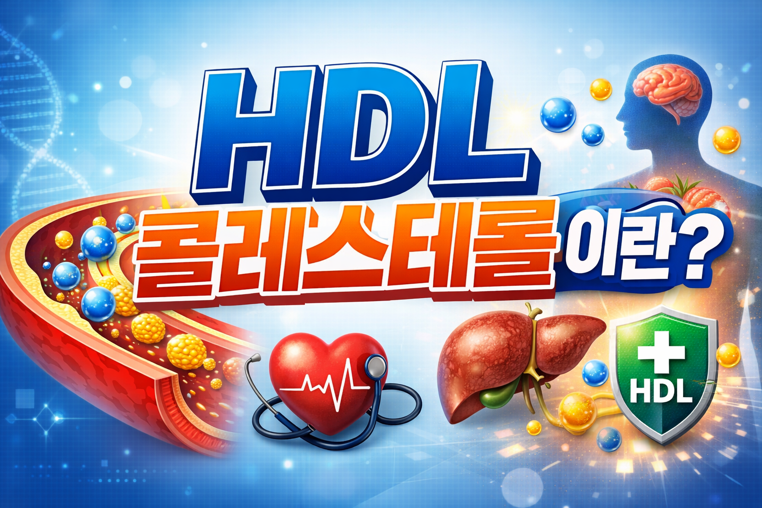 HDL 콜레스테롤 이란?