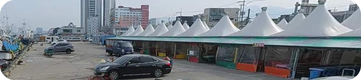 속초오징어난전사진