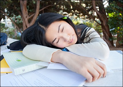 타우린 부작용 11