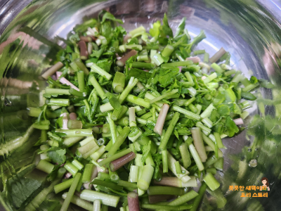 미나리 세척 및 손질하기