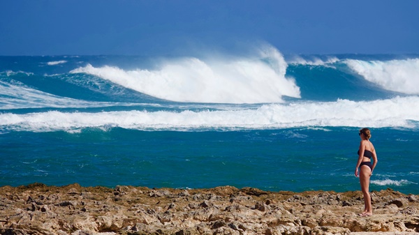 트래블 버블 뜻