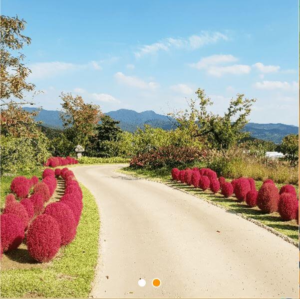 에버랜드 할로윈축제