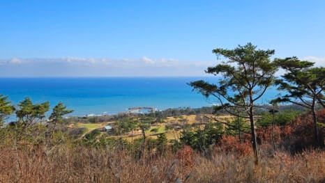 골프장 경험담 경주 골프존 감포cc 바다를 품은 오션뷰 하나뿐인 18홀 내내 동해바다를 보는 골프장