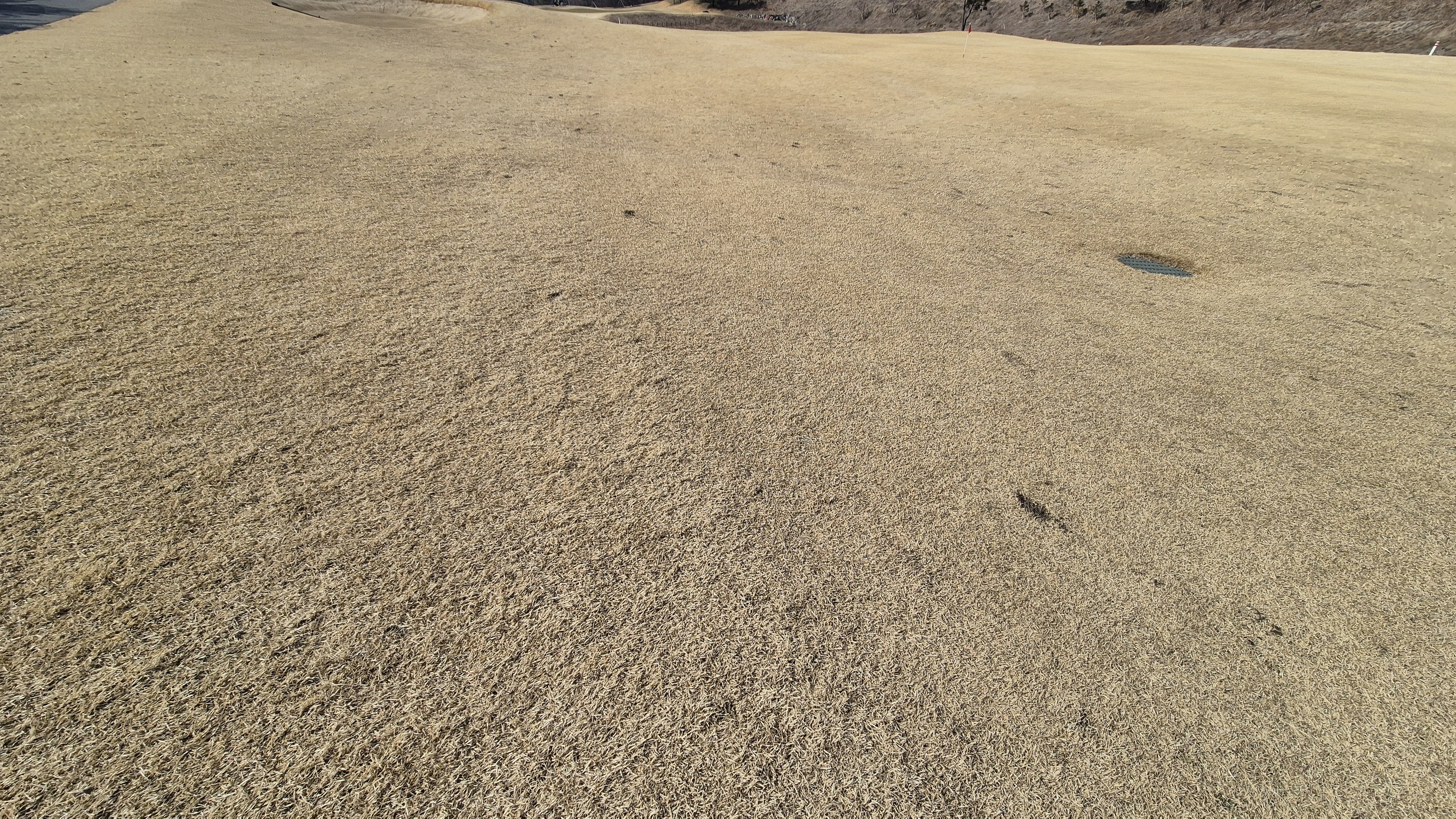 이글몬트cc 히든-이글 코스 라운드 후기