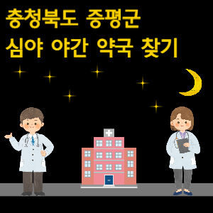 충북 증평군 심야 야간 약국 찾기