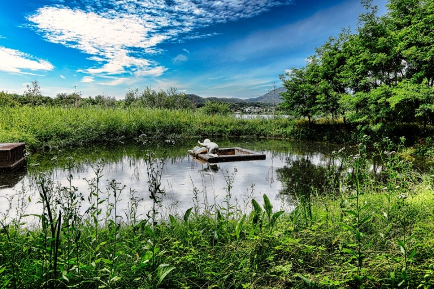 화담숲 예약 방법과 방문 팁 총정리