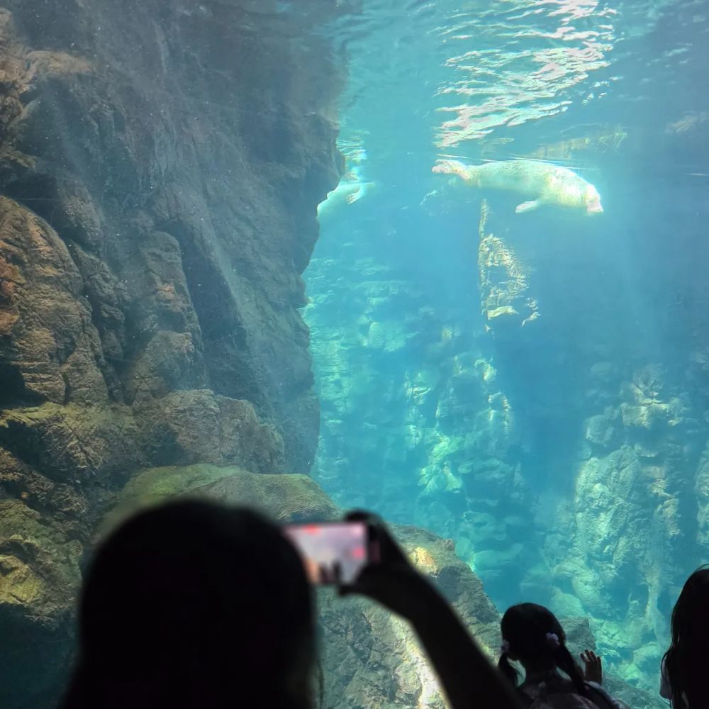 수족관 내부