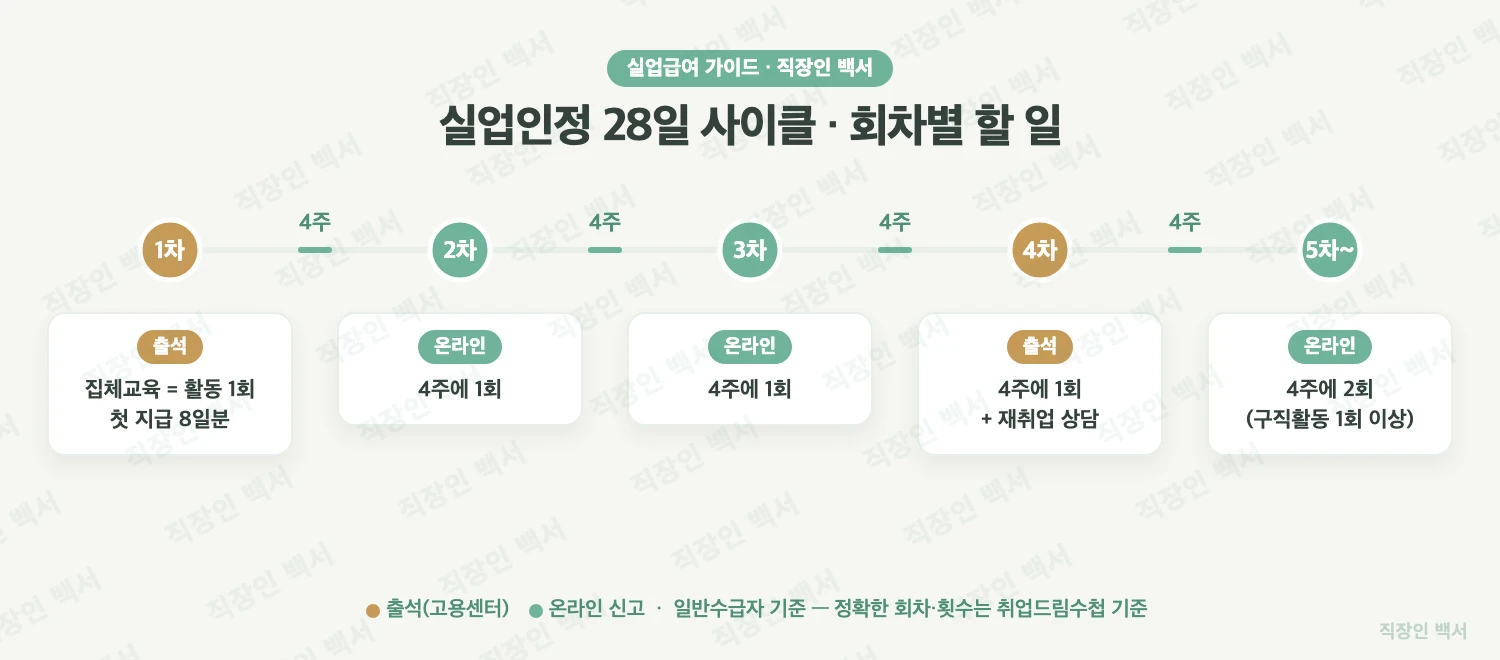 실업인정 28일 사이클 회차별 횟수
