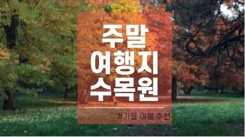 가족여행