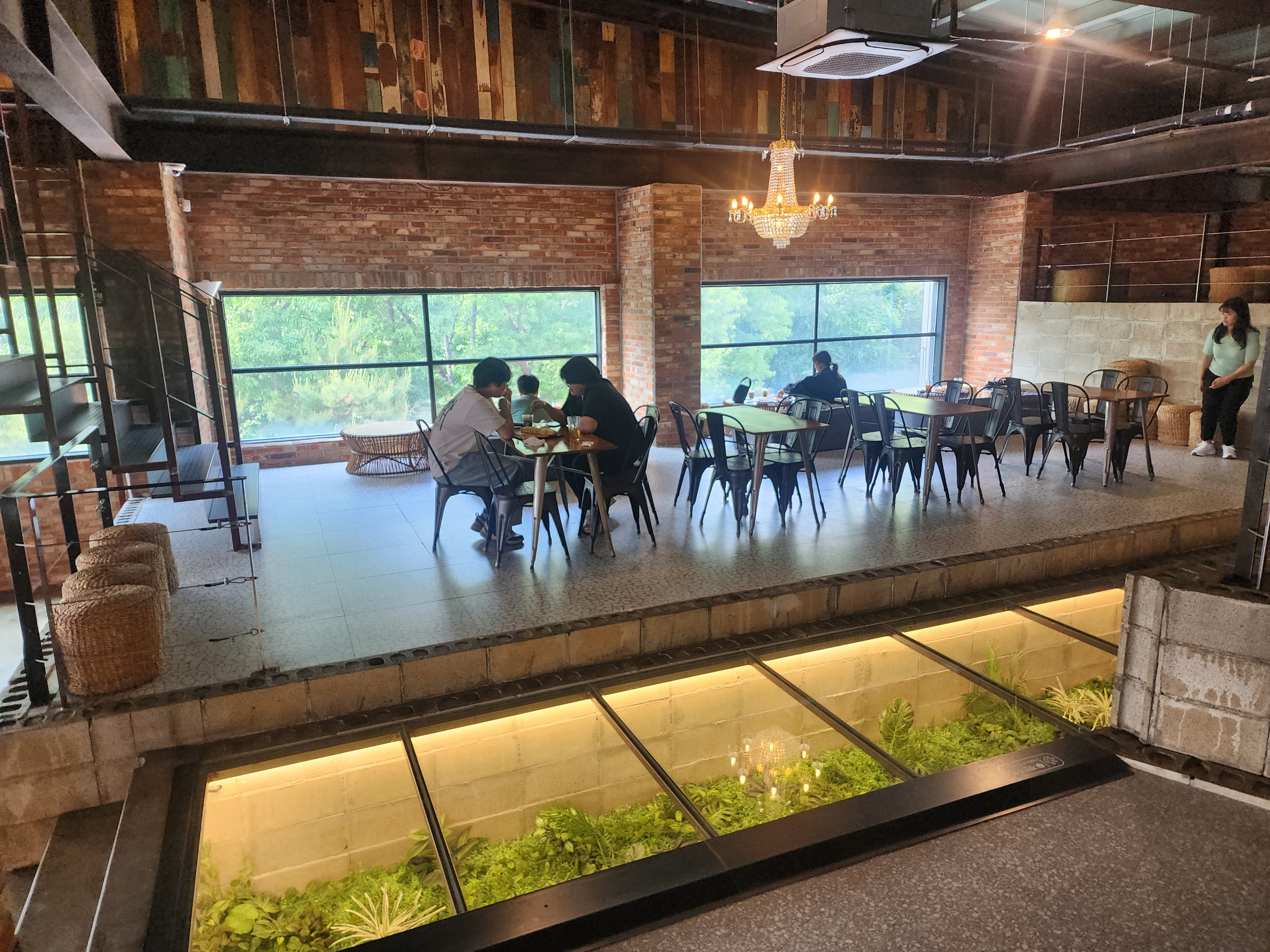 바리루스 in 파주