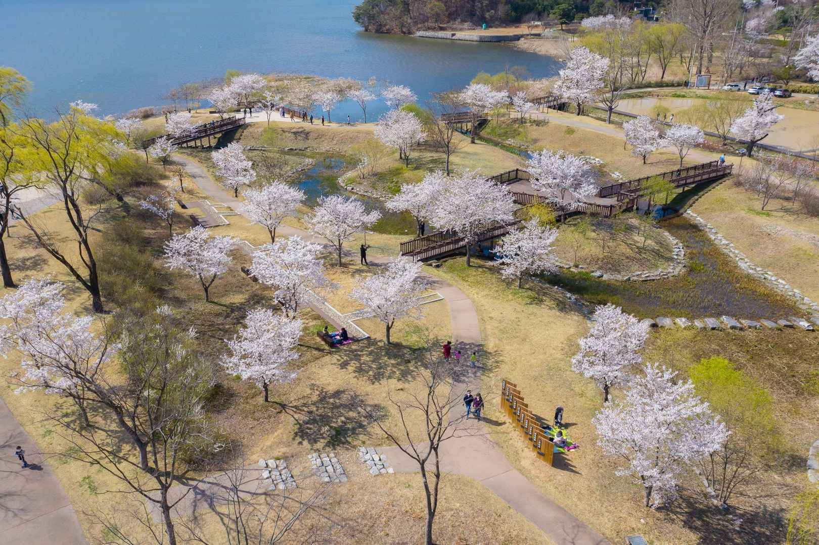 다산생태공원