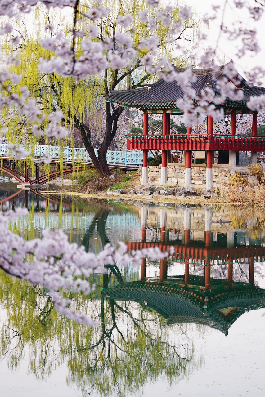 벚꽃 시즌에만 문을 여는, 비밀의 정원 4곳