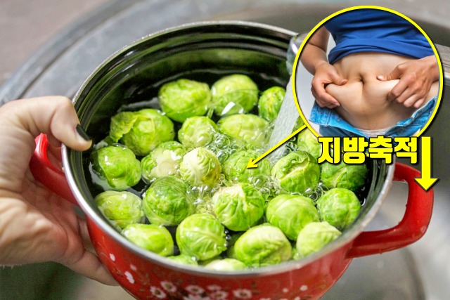 단백질 많은 채소,방울양배추 효능,다이어트식단 추천