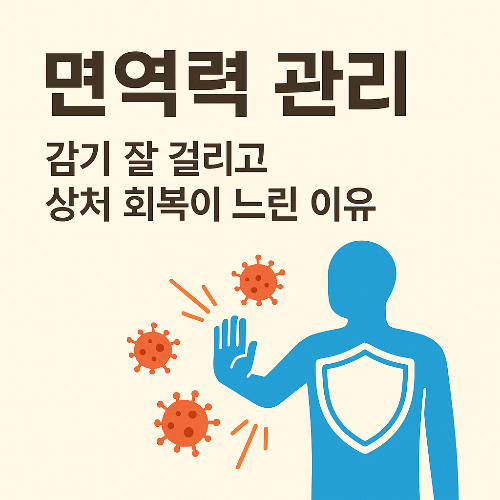 면역력 관리, 감기 잘 걸리고 상처 회복이 느린 이유