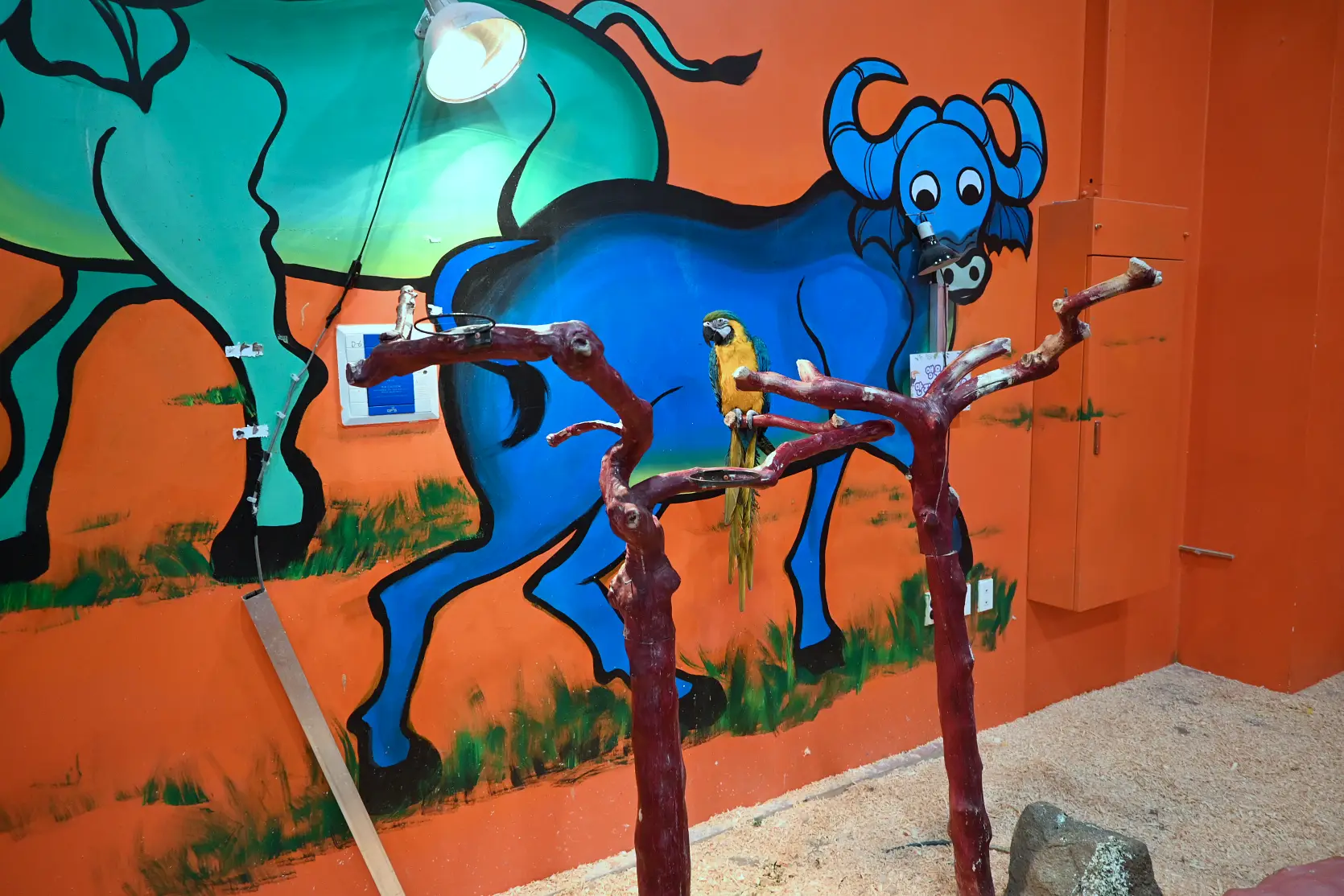 기흥 하이브패밀리 테마파크 온가족이 즐기는 동물원이 있는 키즈카페 사진 7