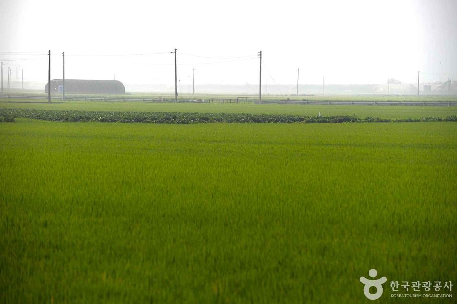 김제 가볼만한곳 베스트10