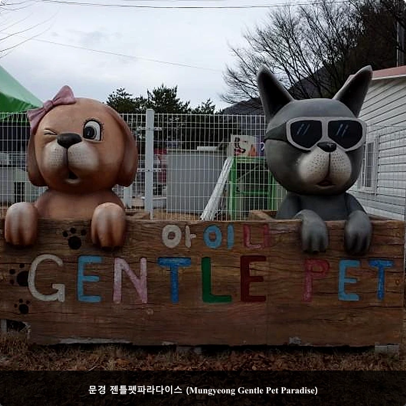 문경 젠틀펫파라다이스 (Mungyeong Gentle Pet Paradise)_1