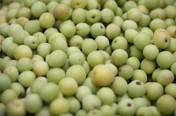 매실 액기스 효능