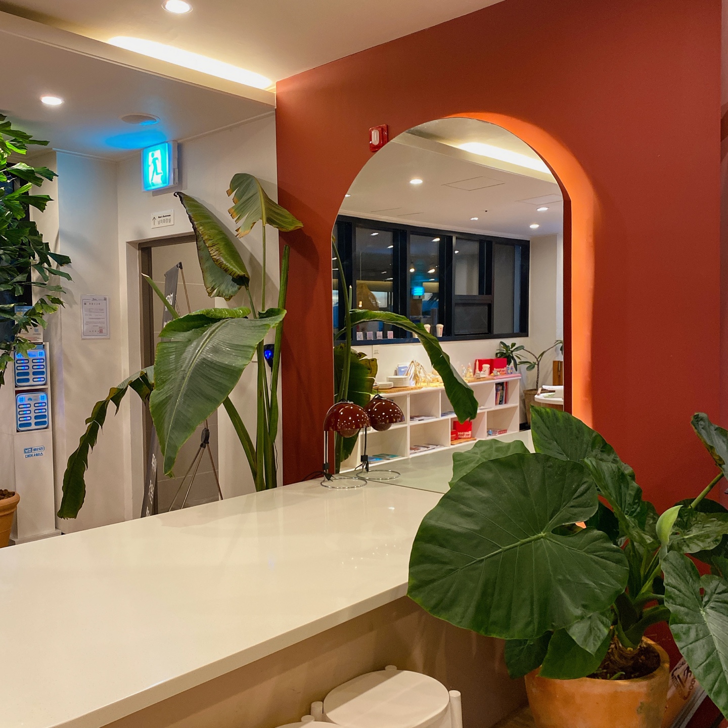 제주 쇠소깍 오션뷰 노을 맛집 보래드베이커스