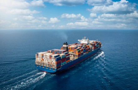 hmm 배당금 지급일