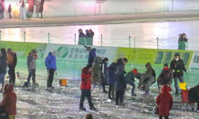 화천 산천어축제 예약
