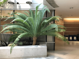 article thumbnail image