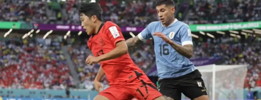 카타르 월드컵 한국 대표팀 선수