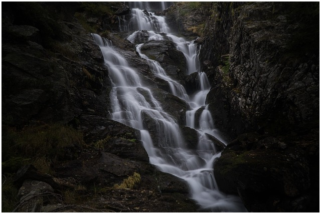 코스트코 회원권 없이 입장하는 4가지 비법