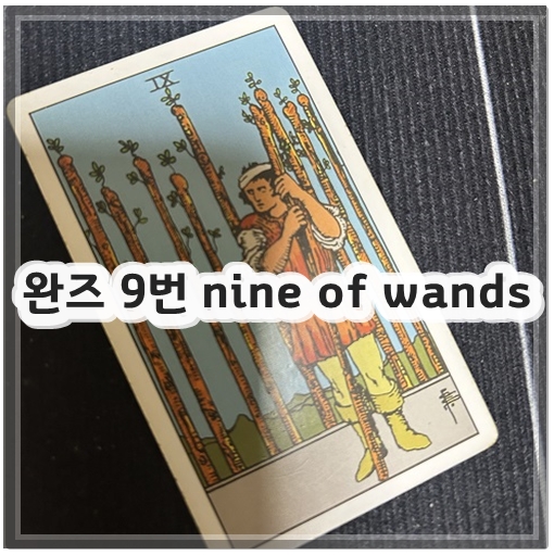 완즈 9번 nine of wands