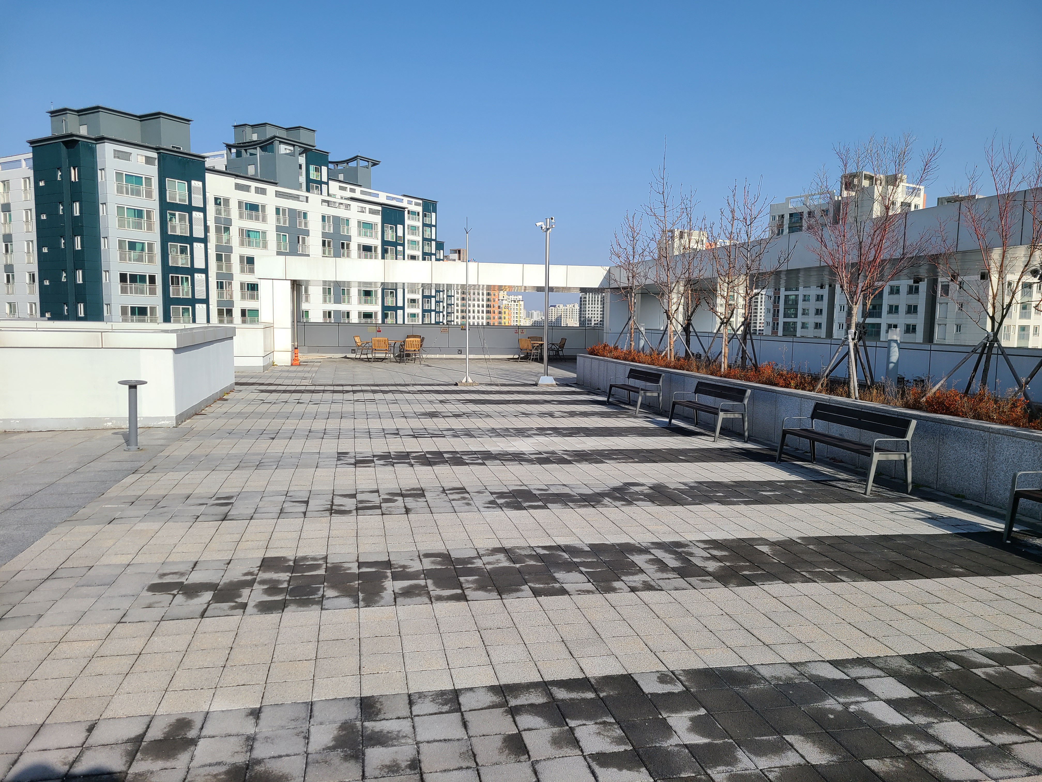 미스 테스타타워 옥상