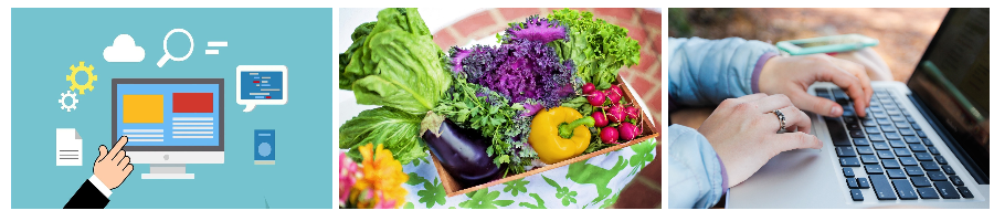 온누리상품권 사용 방법