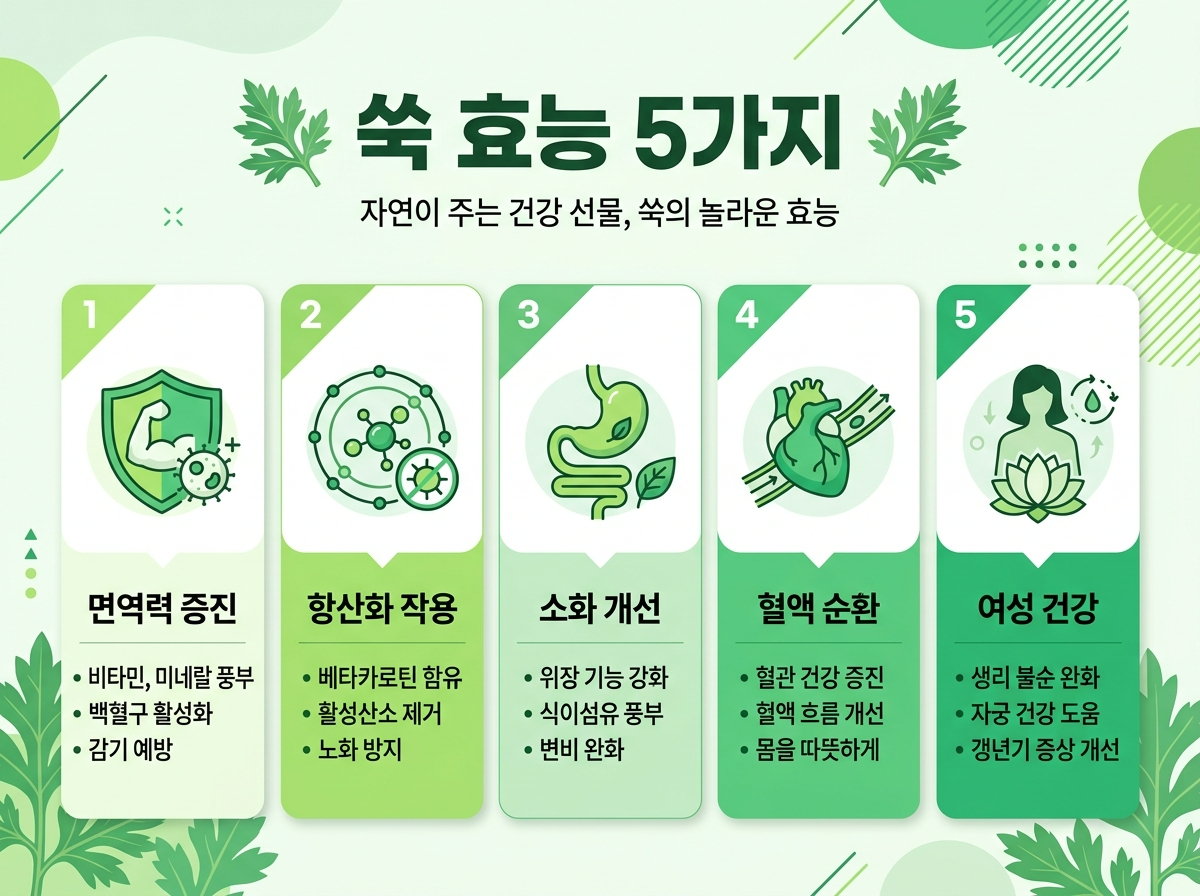 쑥 효능 면역력 항산화 소화 혈액순환 여성건강