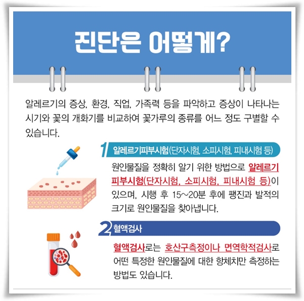 "꽃가루 알레르기" 꽃보다 알레르기로 고생하는 분을 위한 생존 가이드!